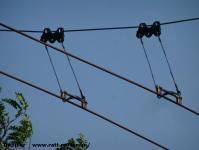 Imagine atasata: Extindere troleibuz Calea Lipovei - 2015.06.15 - 59.jpg